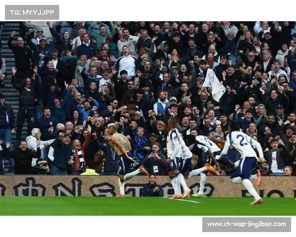 穆阿尼热刺左路竞争首发，特尔奥多贝尔伺机而动